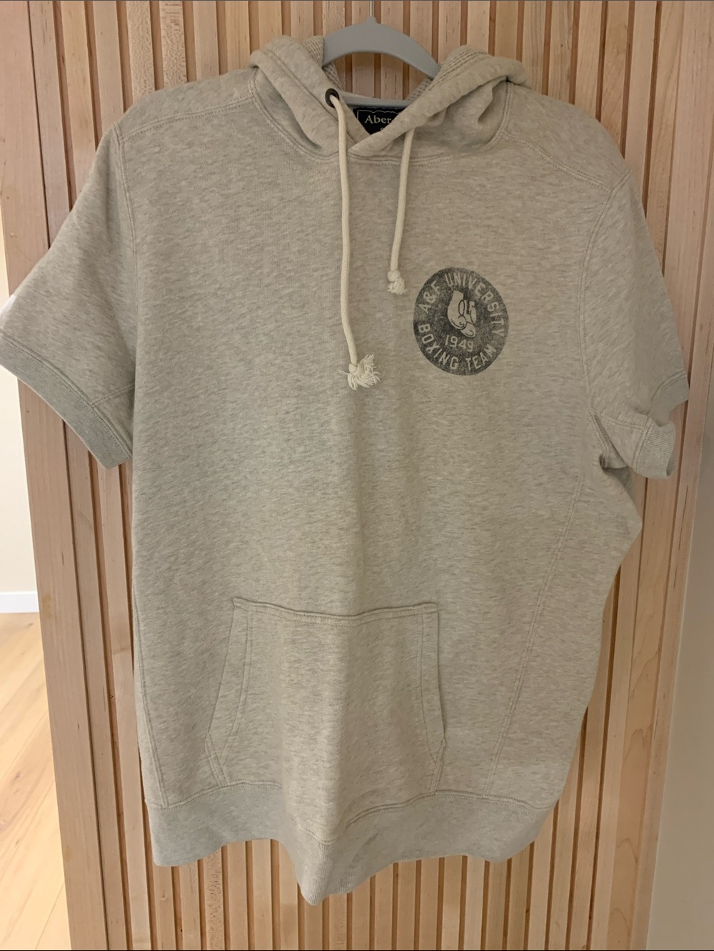 Abercrombie & Fitch Short Sleeve Hoodie in Light Gray